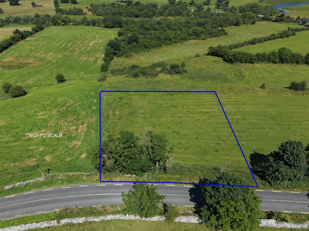 C. 0.50 Acre Site, Lisnatea, Athleague, County Roscommon
