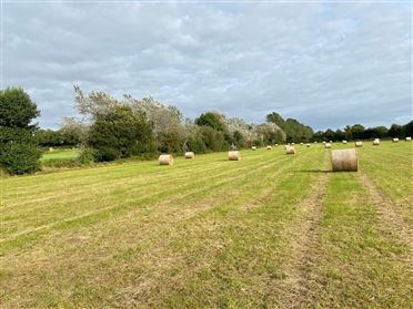 Image for 4.89 Acres, Fontstown, Athy, Kildare