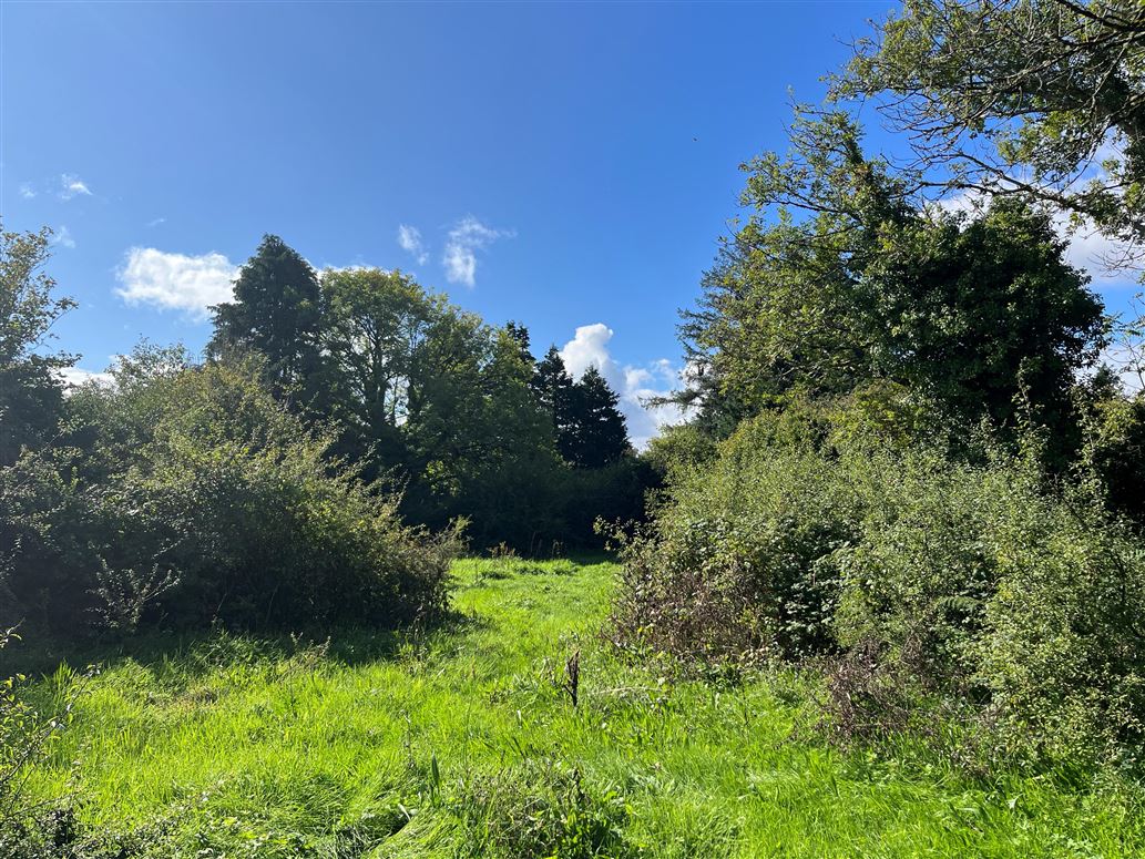 Clooniffe, Moycullen, Galway Clooniffe, Moycullen, Galway