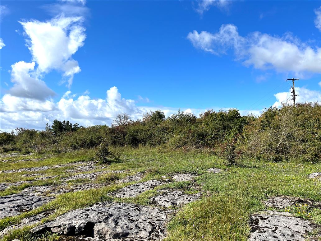 Clooniffe, Moycullen, Galway Clooniffe, Moycullen, Galway