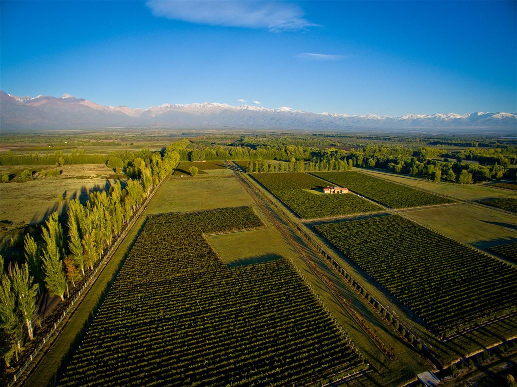 Private, Tabanera, Mendoza, Colonia Los Rosas