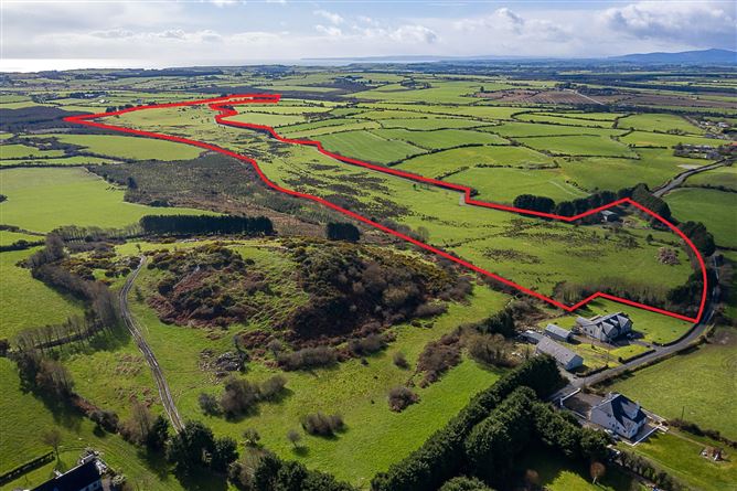 22.38 Hectares & 8.40 Hectares, Dunhill, Co. Waterford, WD & WD15101F