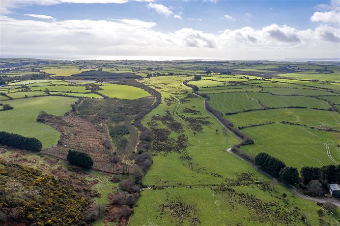 22.38 Hectares & 8.40 Hectares, Dunhill, Co. Waterford, WD & WD15101F