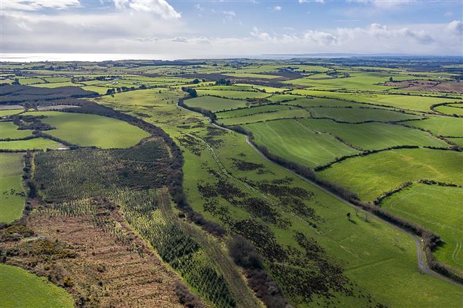 22.38 Hectares & 8.40 Hectares, Dunhill, Co. Waterford, WD & WD15101F