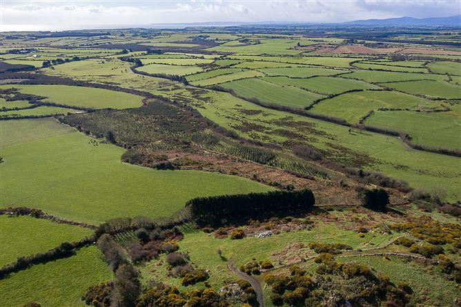 22.38 Hectares & 8.40 Hectares, Dunhill, Co. Waterford, WD & WD15101F