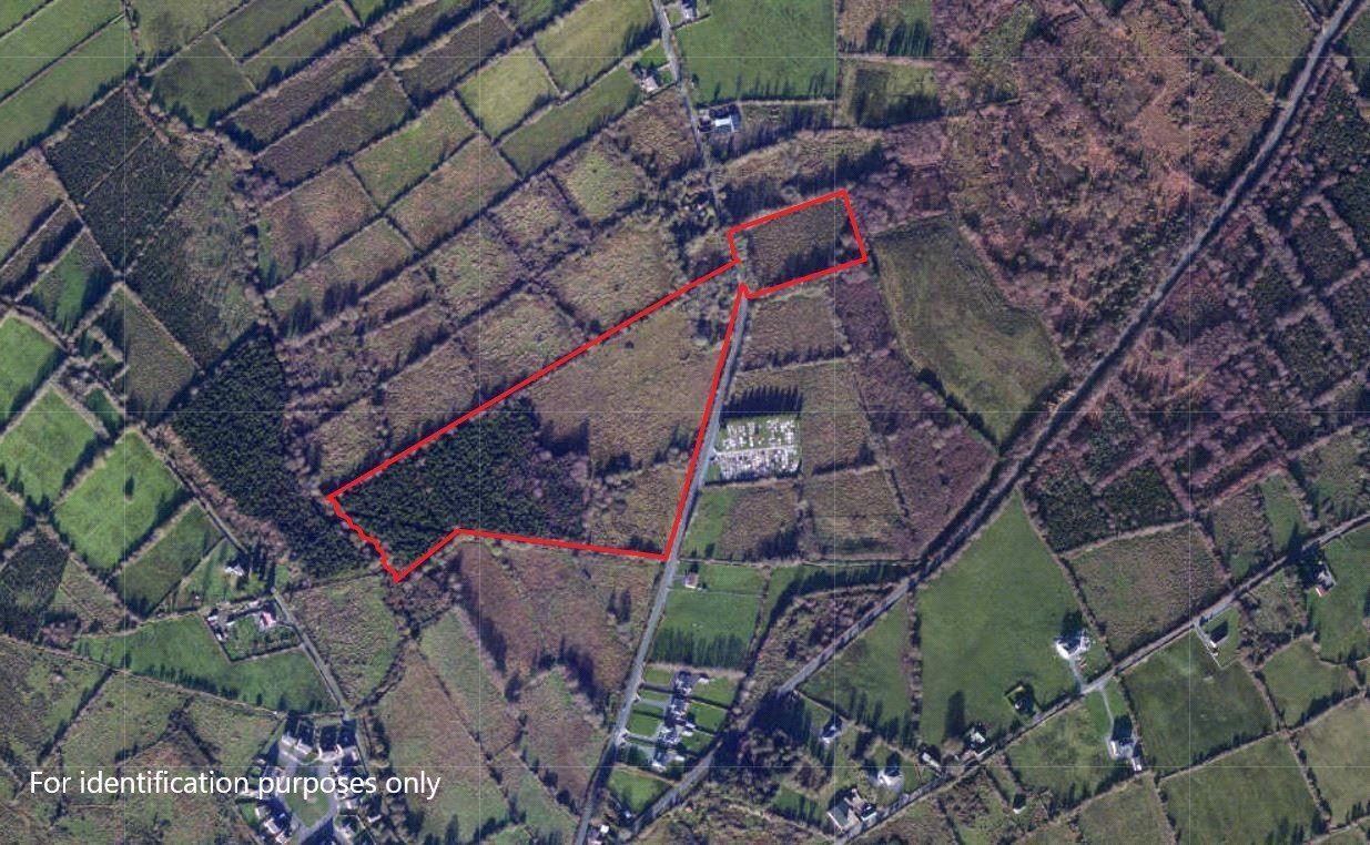 Lands At Barraghbeg, Drumlish, Co. Longford