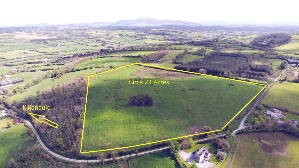 Circa 23 Acres, 9.31 Hectares At Burnchurch, Graystown, Killenaule, Tipperary
