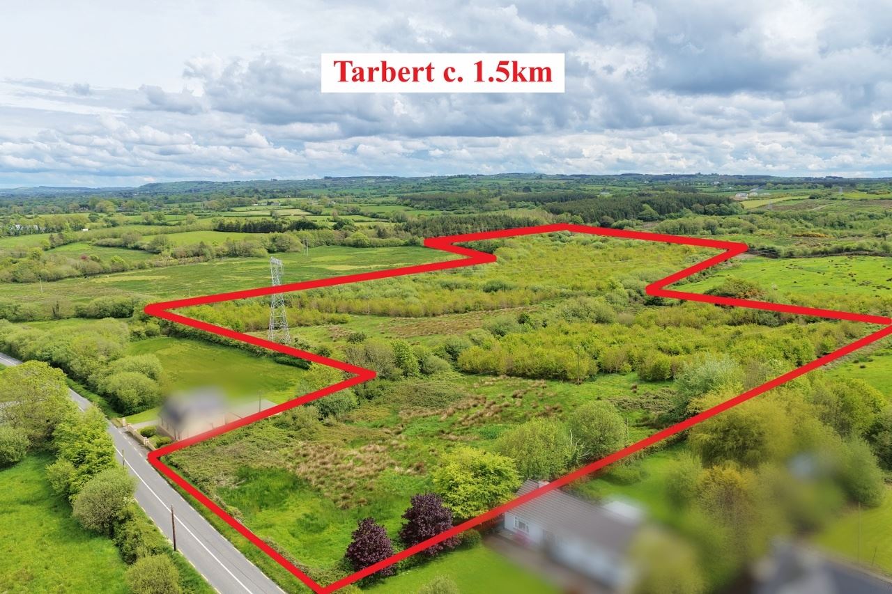 16.48 Acre Forestry Plantation at Carhoona, Tarbert, Kerry