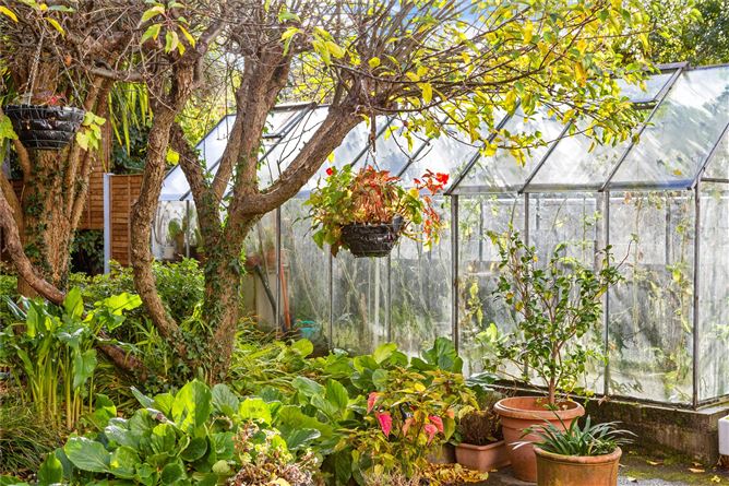Lot 1, 67 Garville Avenue Upper, Rathgar, Dublin 6