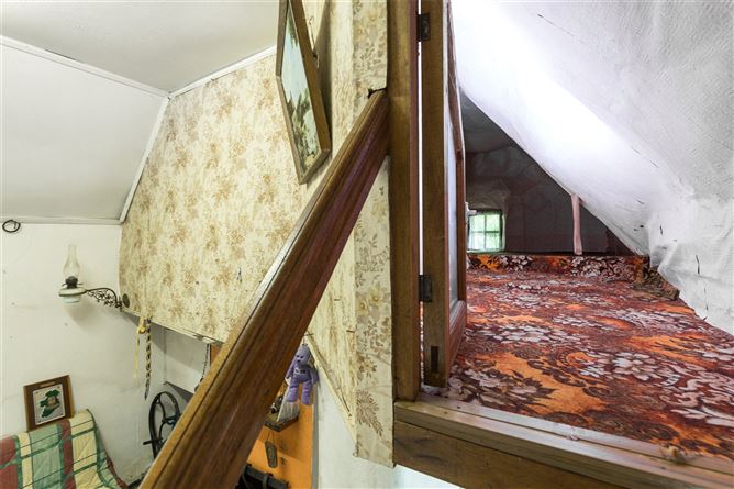 Ballyedmond, Wells, Co. Wexford