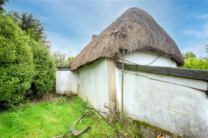 Ballyedmond, Wells, Co. Wexford