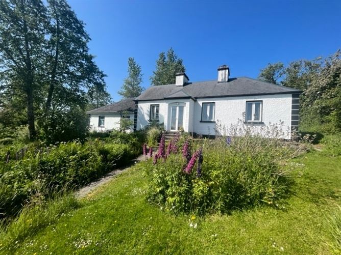 Property for sale in Loughrea, Galway MyHome.ie