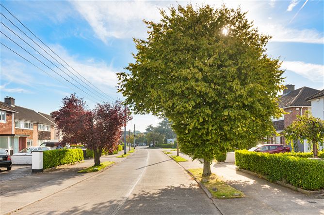 19 College Drive, Terenure,   Dublin 6W