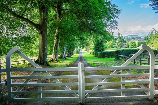 Landscape Stud , Kilsheelan, Tipperary