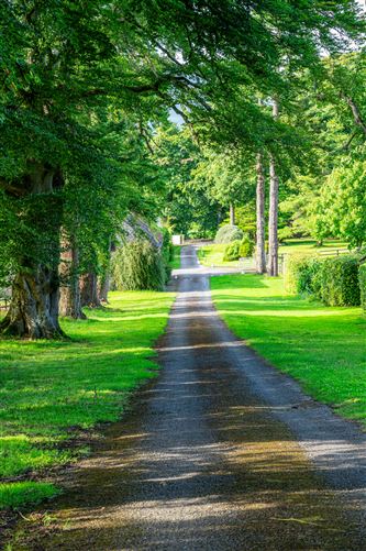 Landscape Stud , Kilsheelan, Tipperary