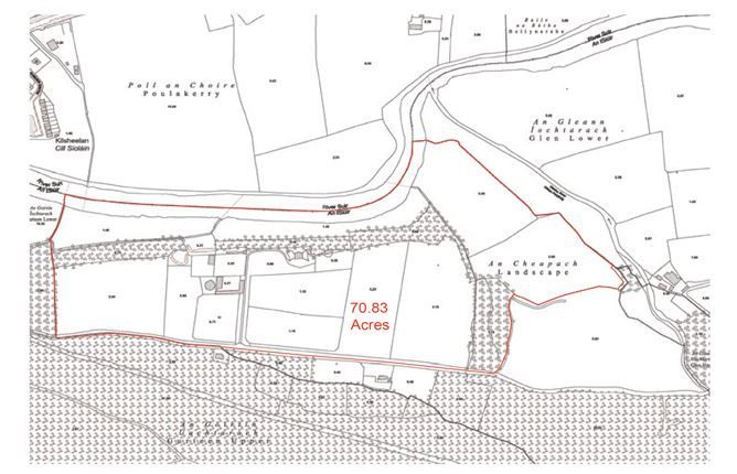 Landscape Stud , Kilsheelan, Tipperary