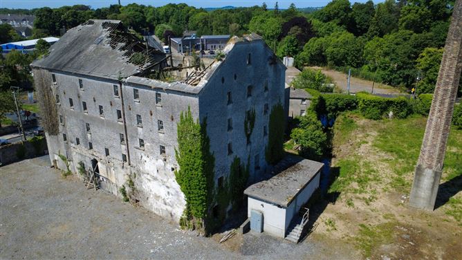Frederick Street, Clara, Offaly