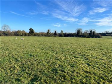 Image for Approx 40 Acres Balrinnet, Carbury, County Kildare