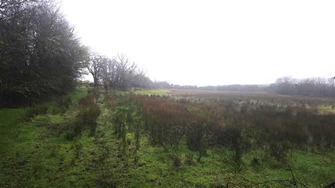 Eskreagh, Tubbercurry, Sligo