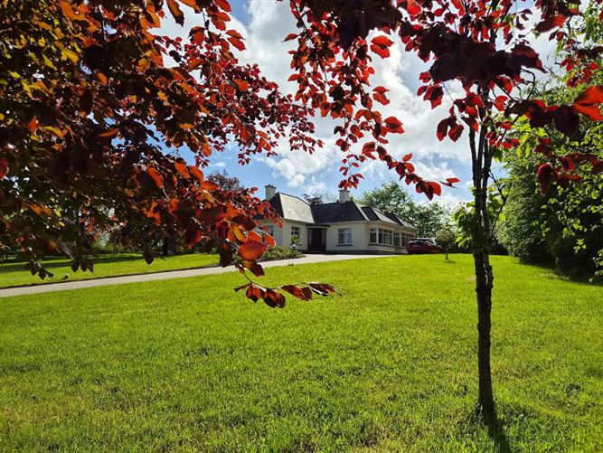 Photo 26 of 34 — Lurga, Leitrim Village, Carrick On Shannon, Leitrim