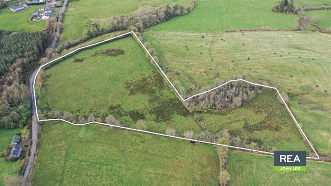 Greenfields, Cappawhite, Tipperary Town, Tipperary