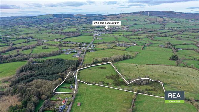 Greenfields, Cappawhite, Tipperary Town, Tipperary