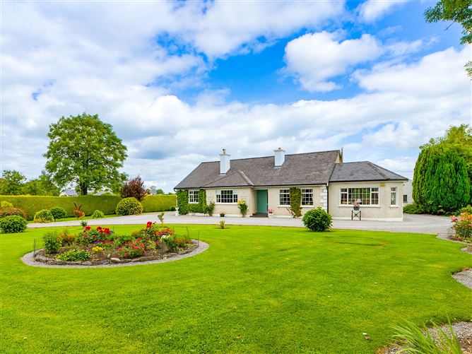 Turn-Key Residence On 17.52 Acres,Kilbreedy,Killenaule,Co. Tipperary,E41 HH70