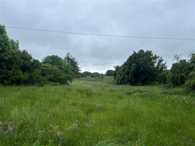 0.9 Acres, Castlebar Road, Westport, Co. Mayo