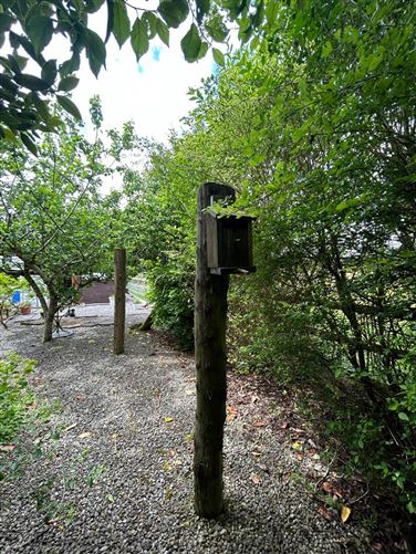 Cloontowart, Lisacul, Roscommon