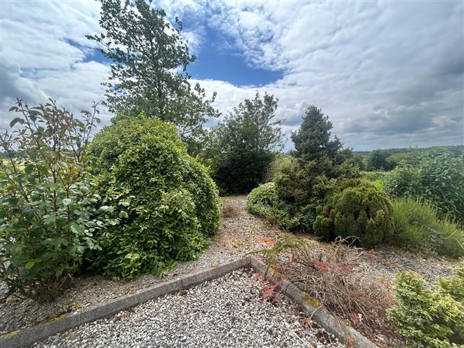 Cloontowart, Lisacul, Roscommon