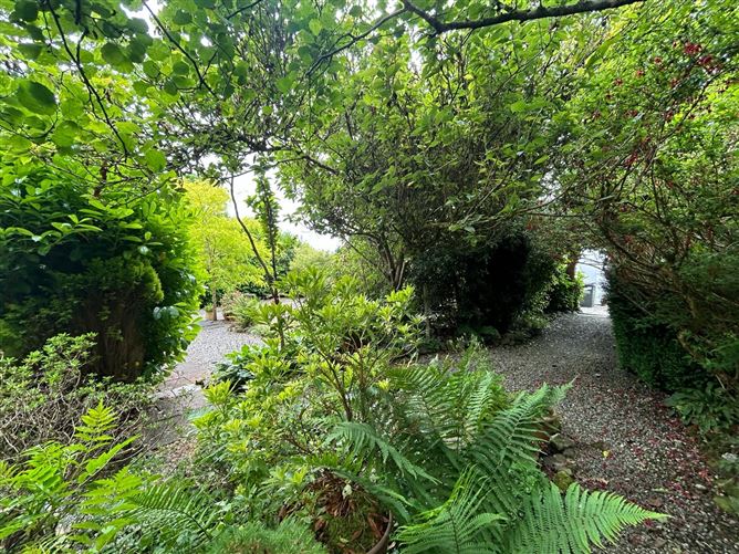Cloontowart, Lisacul, Roscommon