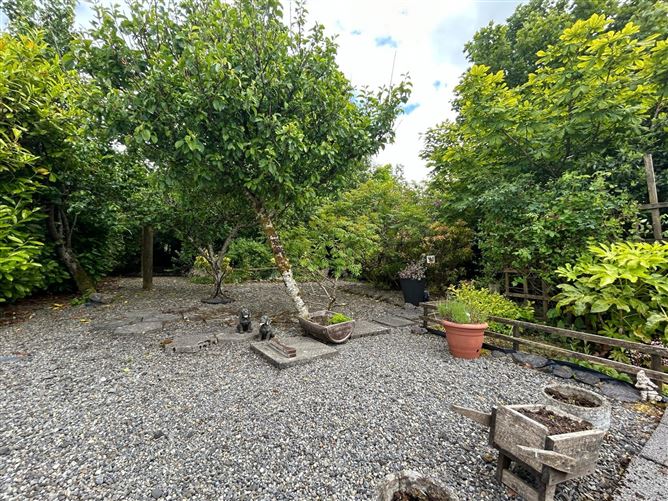 Cloontowart, Lisacul, Roscommon