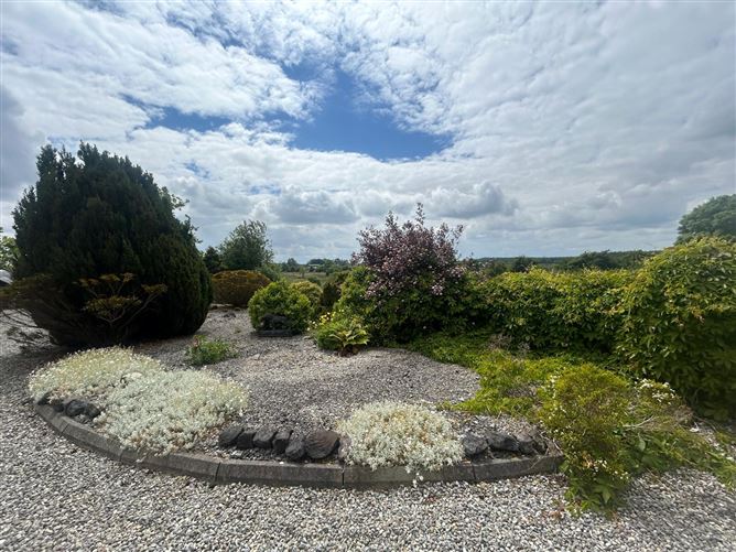 Cloontowart, Lisacul, Roscommon