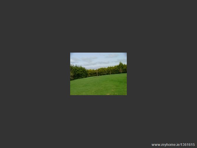 Gurranes Cross, Templemartin, Bandon, Cork West