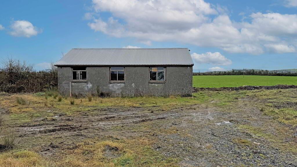 Ballyvalode, Oola, Limerick