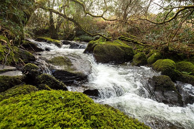 Drombrow, Bantry, Co. Cork
