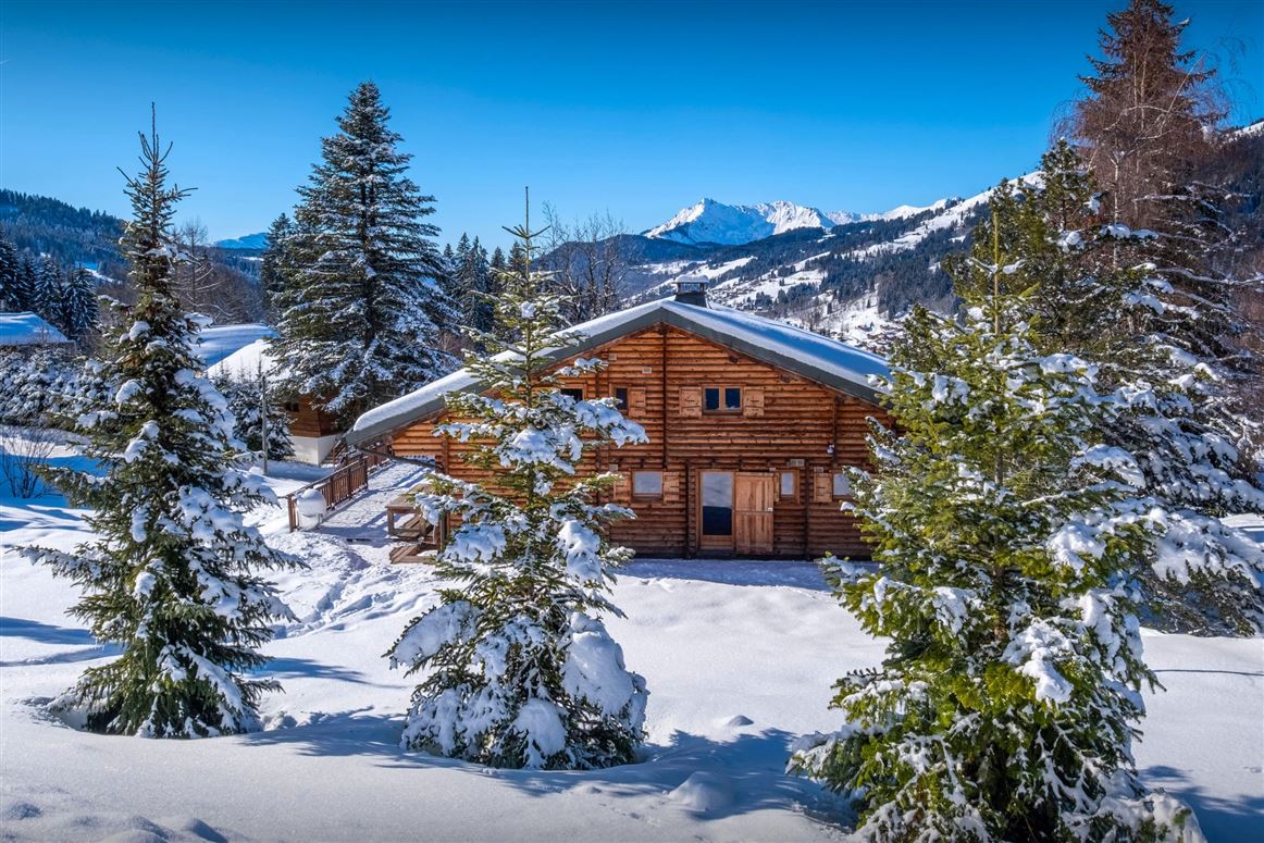 Joux Verte,Les Gets,Auvergne-Rhône-Alpes,France