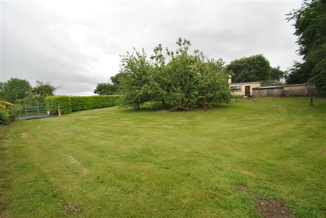 Scart, Roscrea, Co. Tipperary