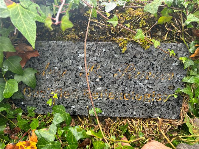 Aghalustia, Ballaghaderreen, Roscommon