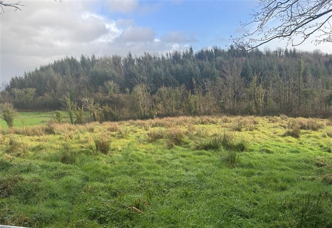 Aghaleague, Ballinamore, Leitrim