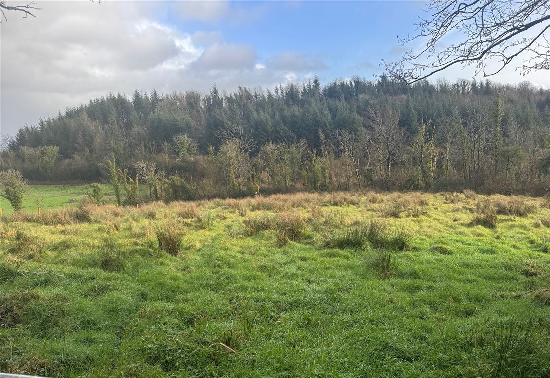 Aghaleague, Ballinamore, Leitrim