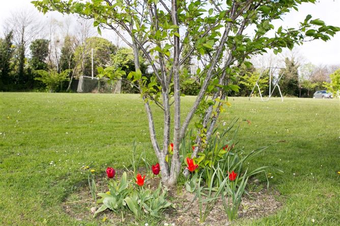 71 Woodford, Stillorgan, Co. Dublin