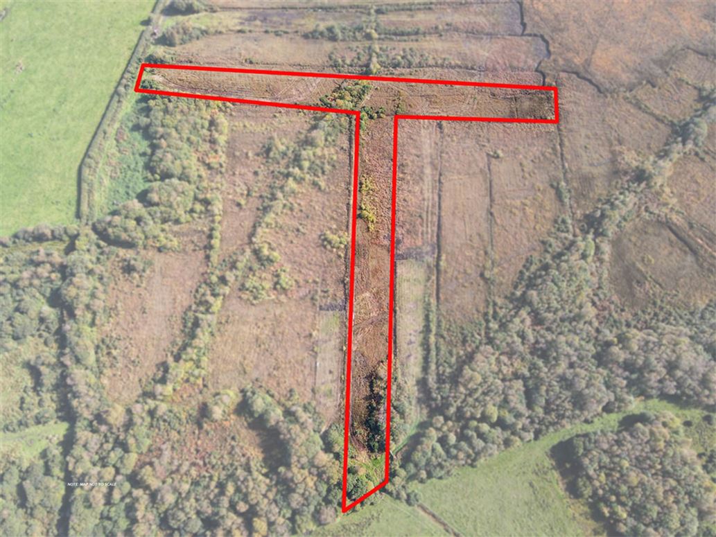 Lot 6 - Castleblakeney, Ballinasloe, County Galway