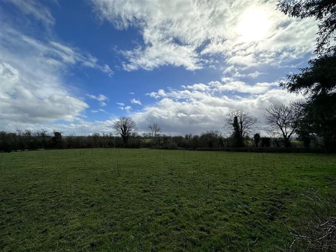 Lands and Dwelling at, Carrickmore, Stonebridge, Co. Monaghan.