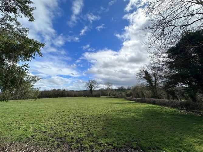 Lands and Dwelling at, Carrickmore, Stonebridge, Co. Monaghan.