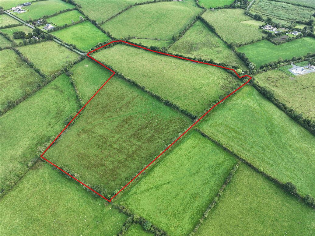 Moate, Carlanstown, Meath