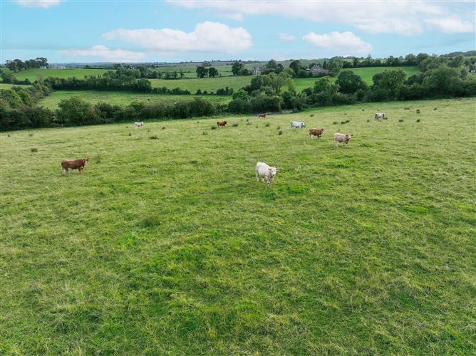 Moate, Carlanstown, Meath