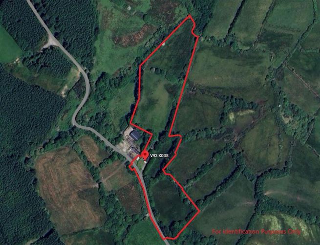 Glounlea, Currow, Co. Kerry