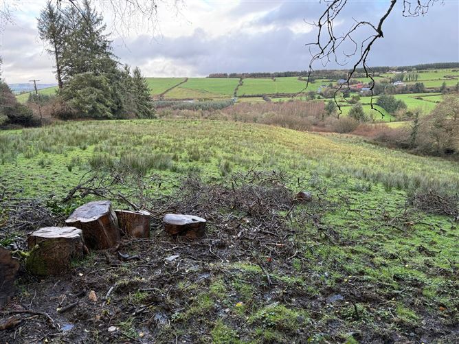 Glounlea, Currow, Co. Kerry