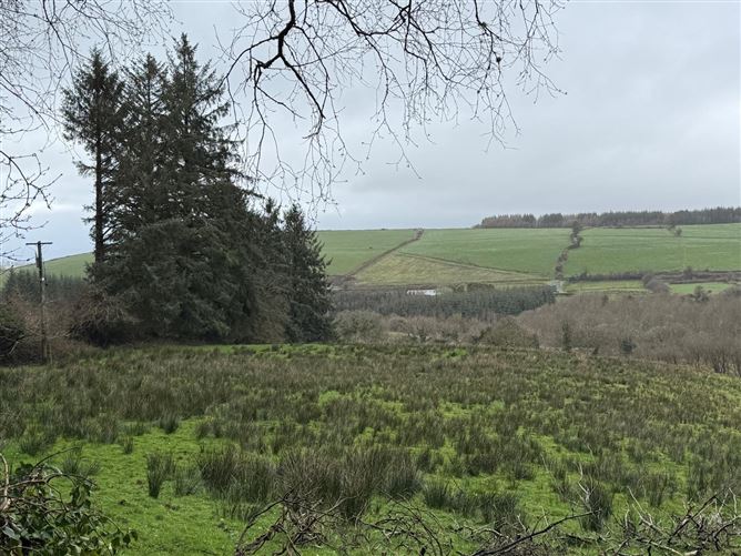 Glounlea, Currow, Co. Kerry